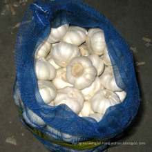 Export Good Quality Fresh Chinese Mesh Bag Packing Pure White Garlic